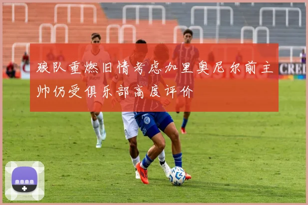 狼队重燃旧情考虑加里奥尼尔前主帅仍受俱乐部高度评价