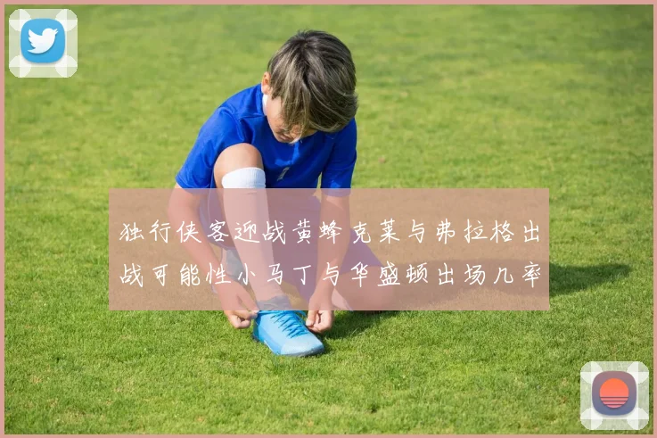 独行侠客迎战黄蜂克莱与弗拉格出战可能性小马丁与华盛顿出场几率高