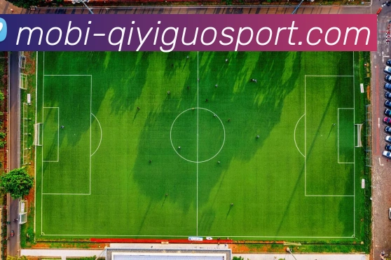 App Interface Preview